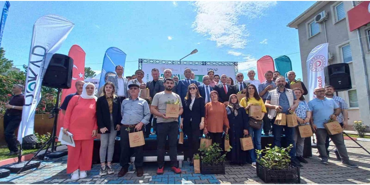 Üreticilere ‘aronia’ fidanı dağıtıldı