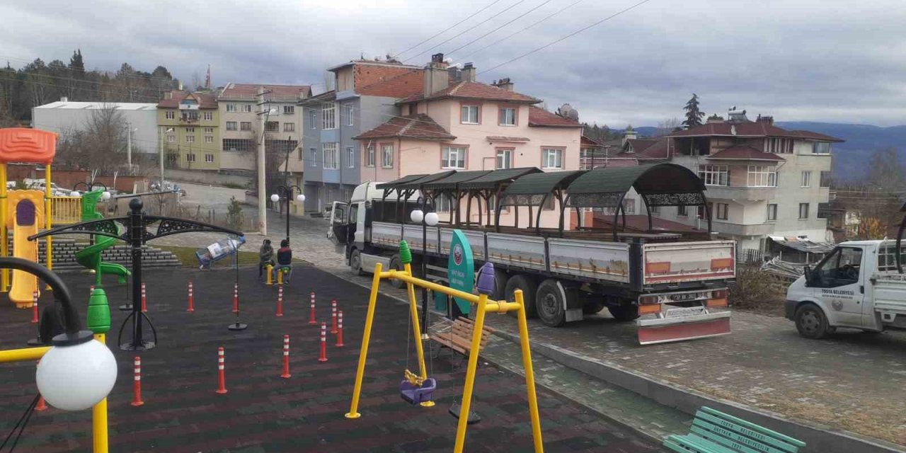Tosya Belediyesi kamelya üretiminde rekor kırdı