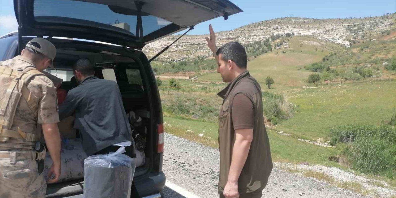 Siirt’te biyokaçakçılığa yönelik denetim yapıldı