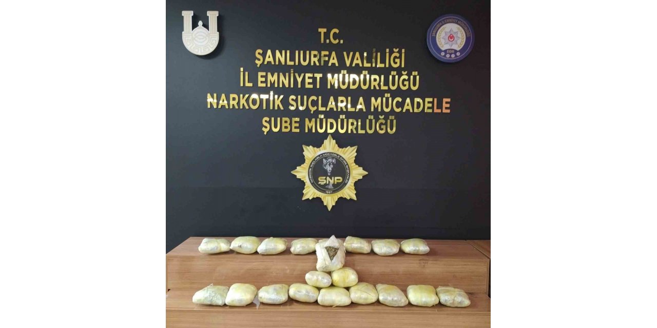 Şanlıurfa’da 20 kilo skunk ele geçirildi