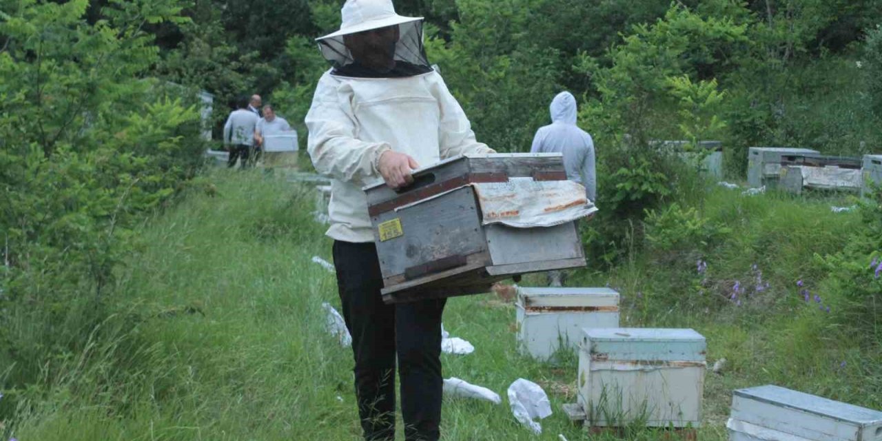 Ordulu arıcılar ‘çiçek balı’ için yaylalara göç başlattı! Konya'da da hasat yapacaklar