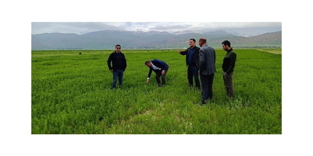 Yüksekova’da çekirge sürvey çalışması