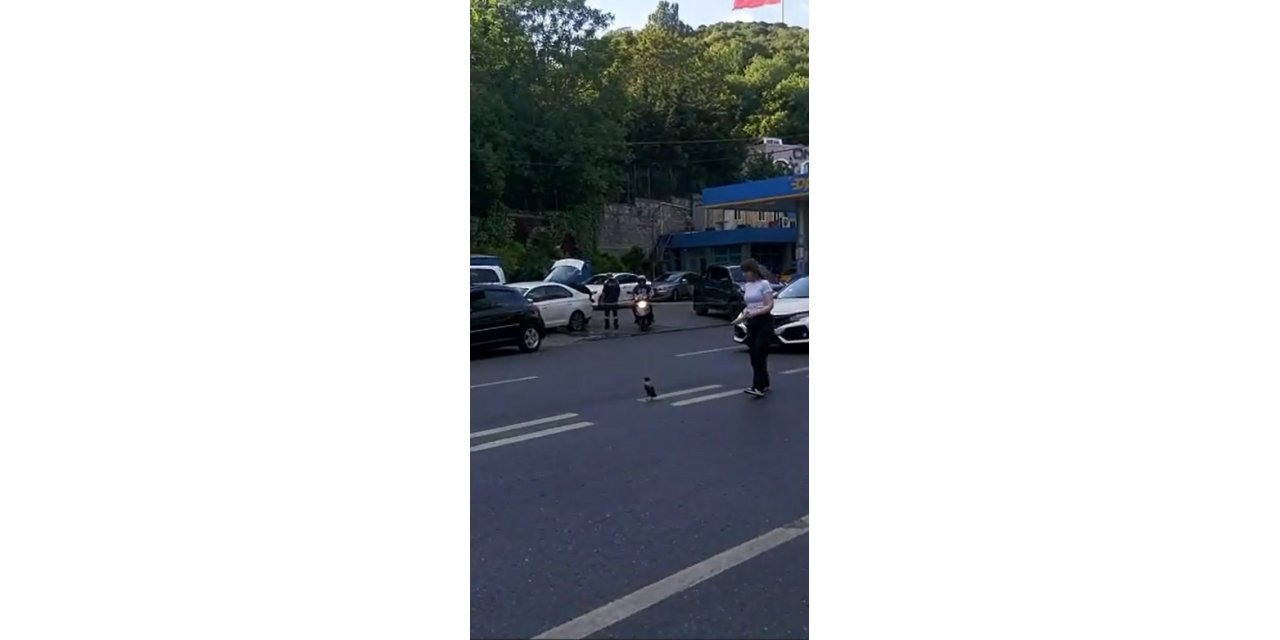 Trafiği durdurup yardım etmek istedi, karganın saldırısına uğradı: O anlar kamerada