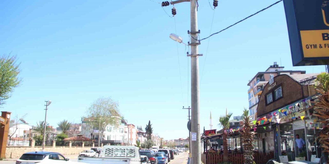 Elektrik teline konan papağanı kurtarmak isteyen gençten acı haber