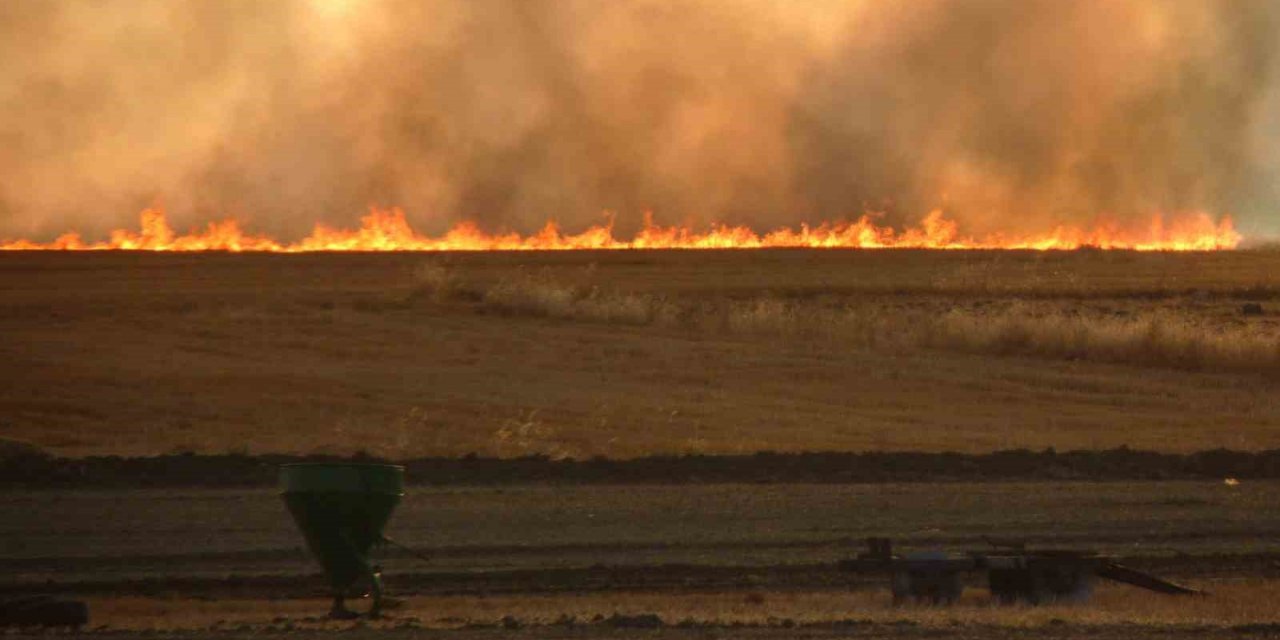 Tekin: “Anız yakmak hem çevre hem de toprak için zararlı”