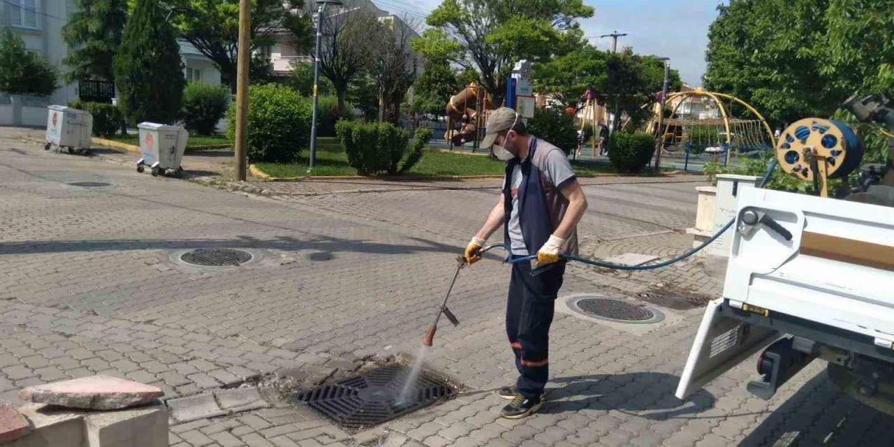 Karesi’de haşere ile mücadele sürüyor