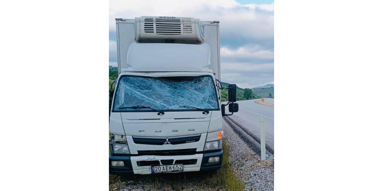 Trafik uyarı tabelasına çarpan kamyonet sürücüsü yaralandı