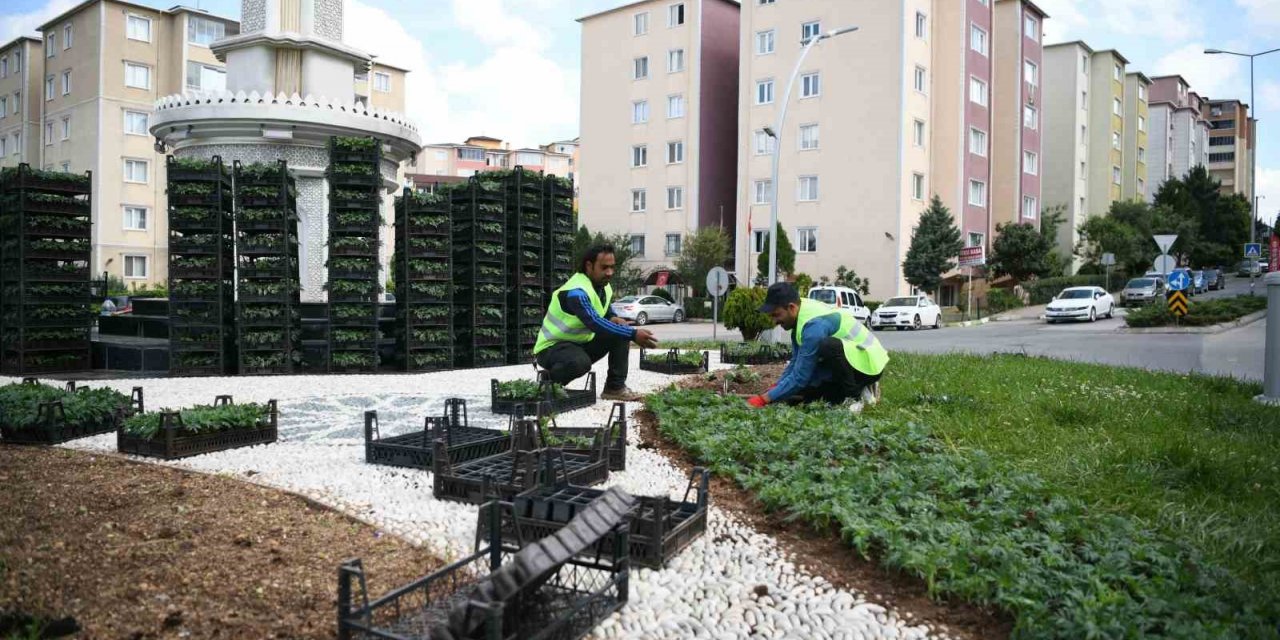 Kavşaklar mevsimlik çiçeklerle güzelleşiyor