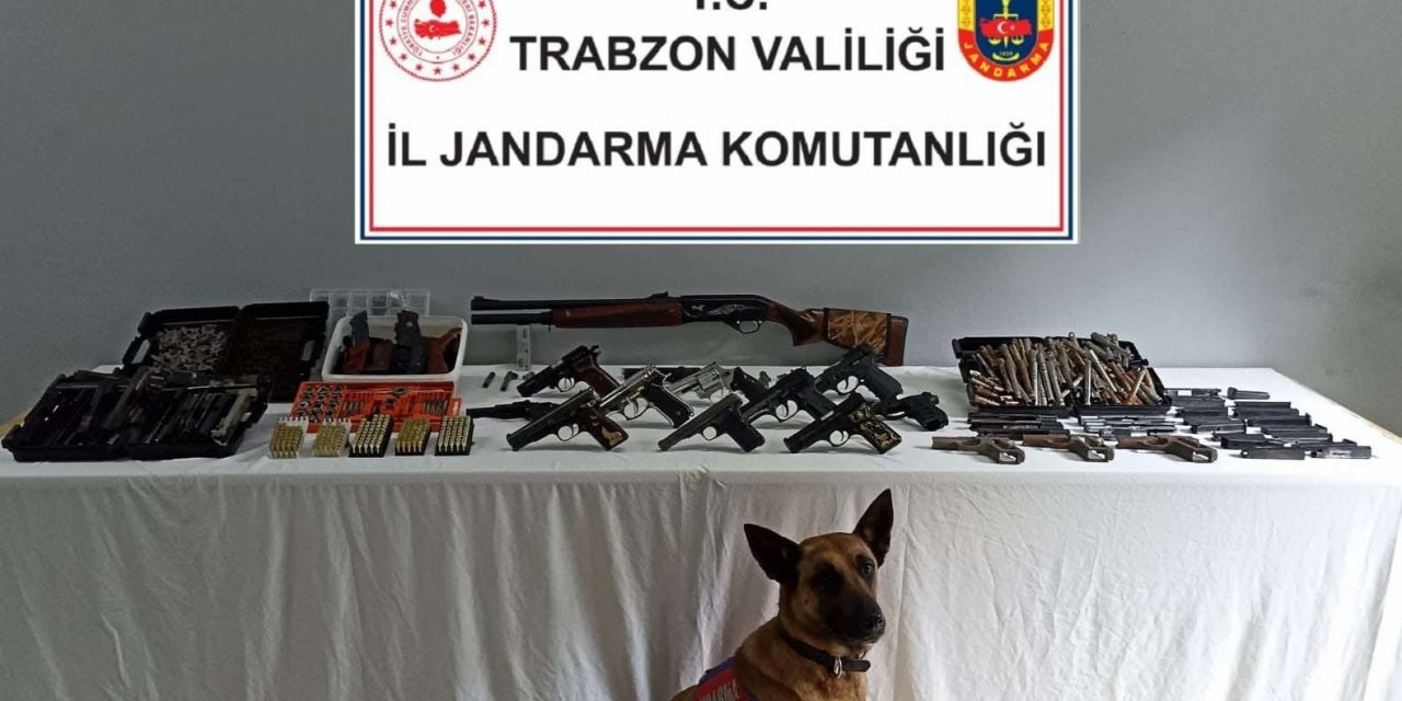 Jandarma timlerinden çifte operasyon
