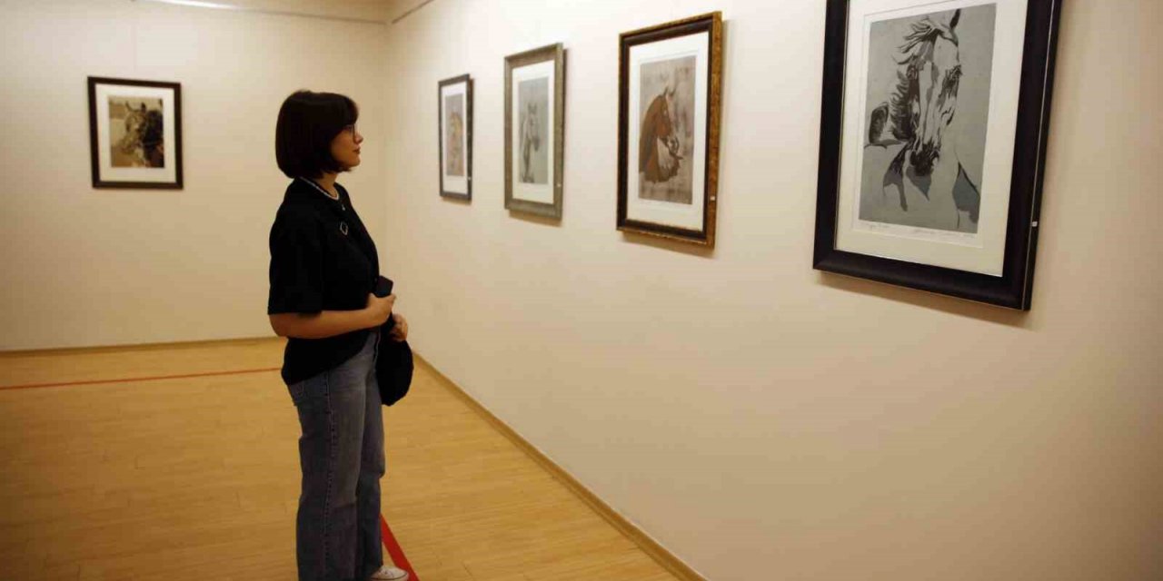 “Bir at bir Murat” temalı sergi