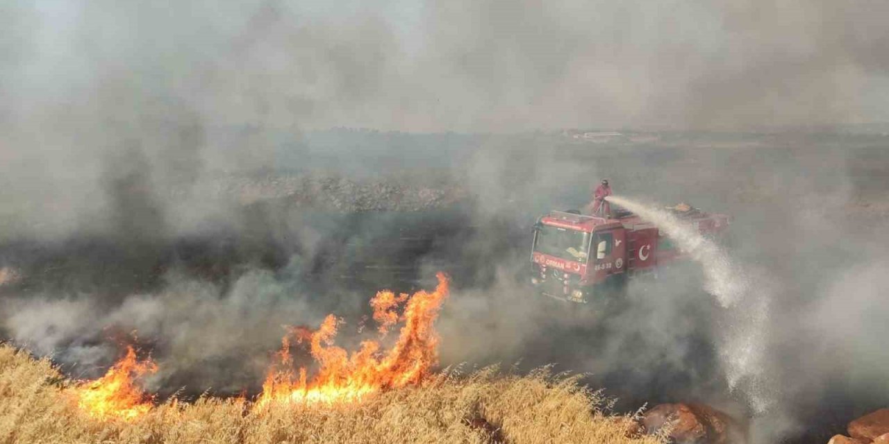 Gaziantep’te 7 bin dönüm buğday tarlası yandı