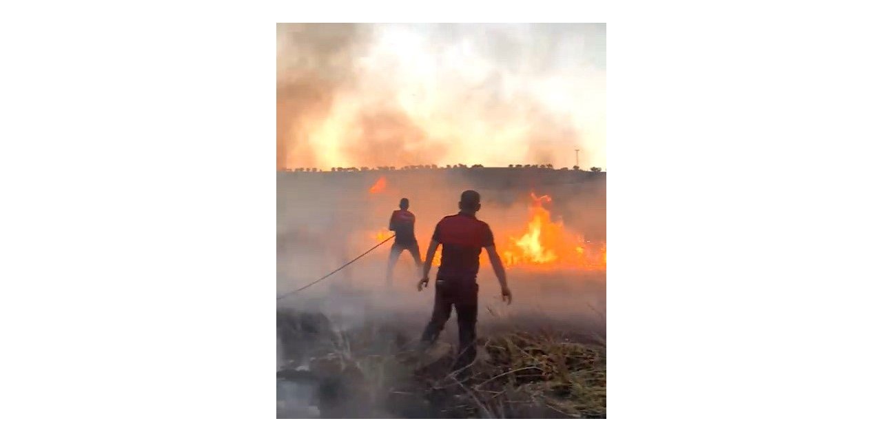 Buğday tarlası yandı