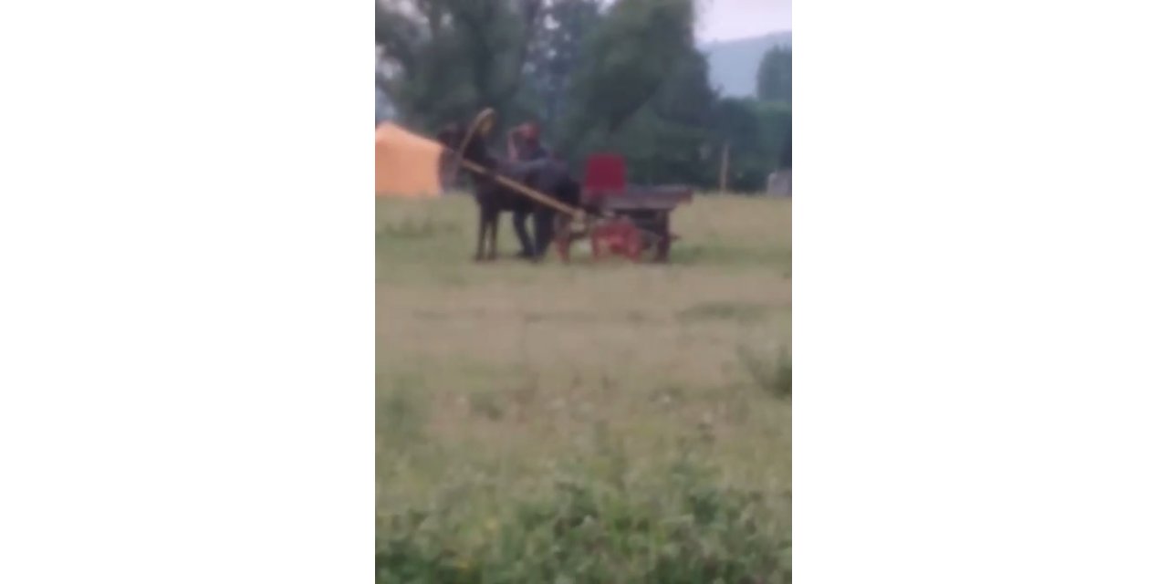 Bursa’da yürekleri sızlatan görüntü...Kendisini çeken ata böyle işkence yaptı