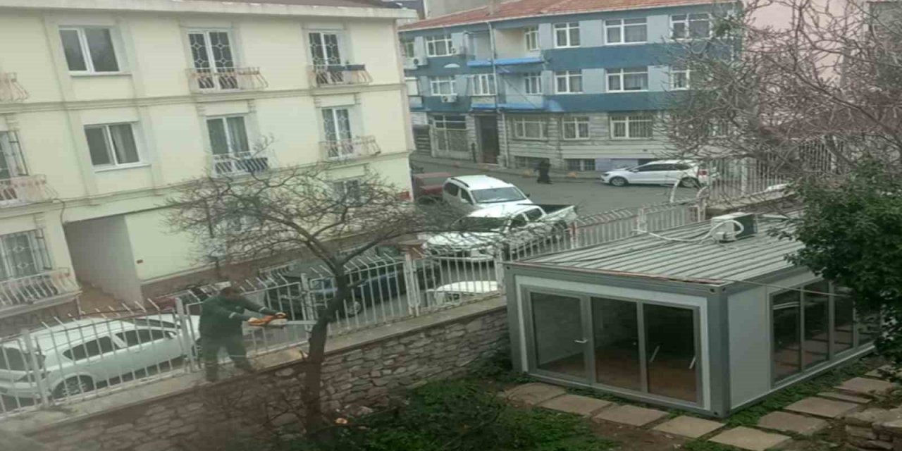 Vakıflar Genel Müdürlüğü’nden "restorasyon" adı altında ağaç katliamı