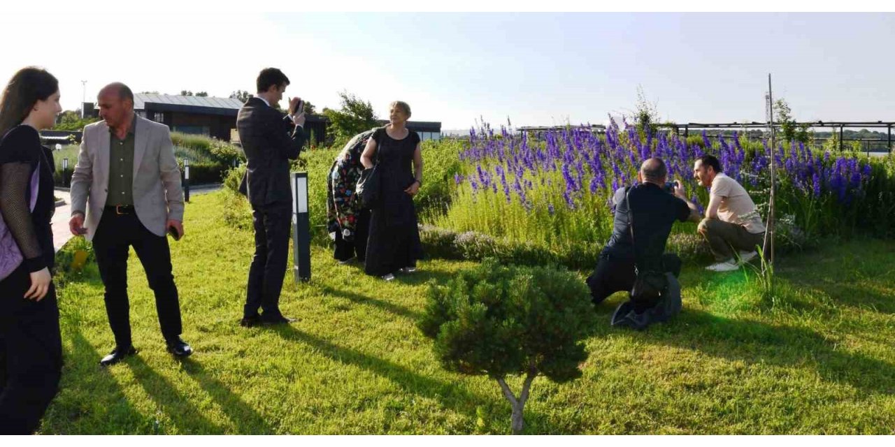 Ressamlar, Hersek Bölgesine hayran kaldılar