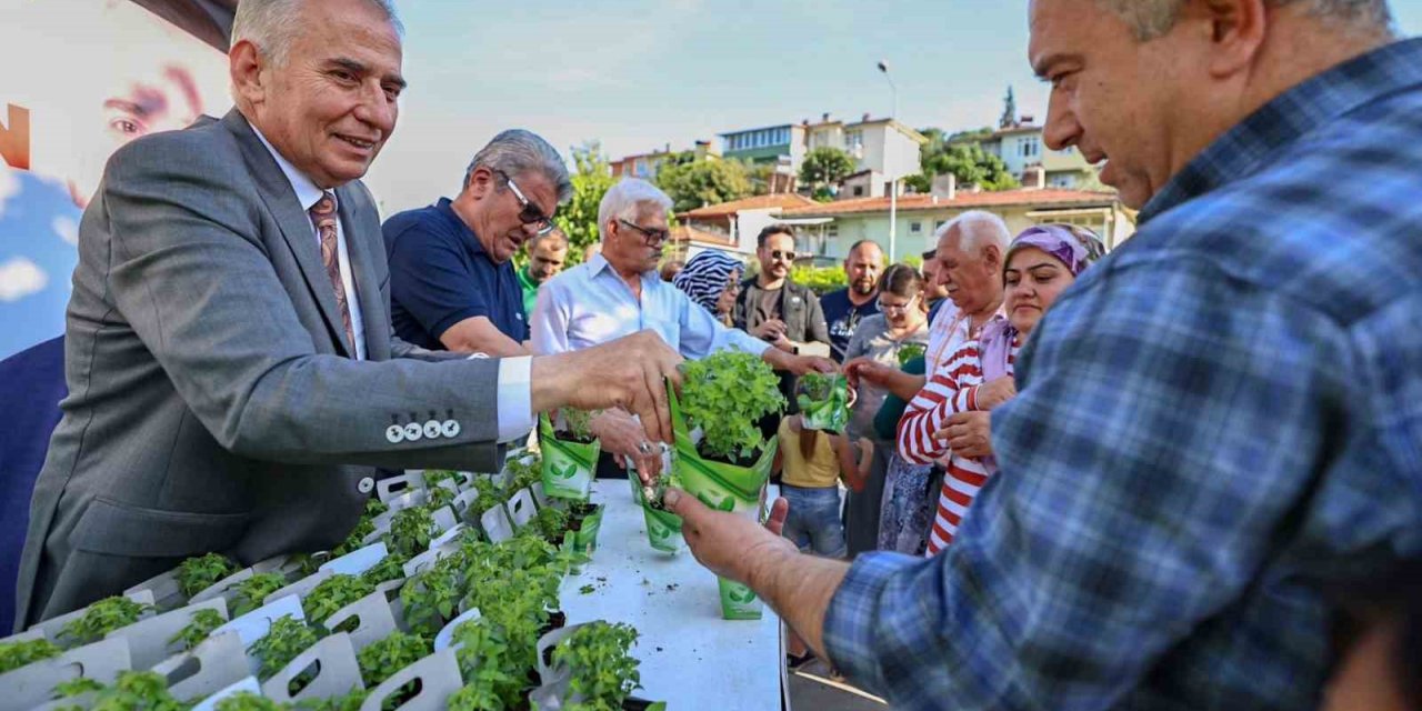 Denizli fesleğen kokacak