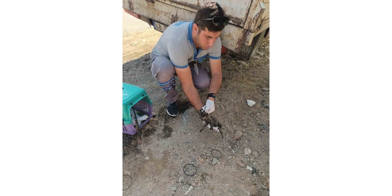 Vatandaş ihbar etti, belediye müdahale etti