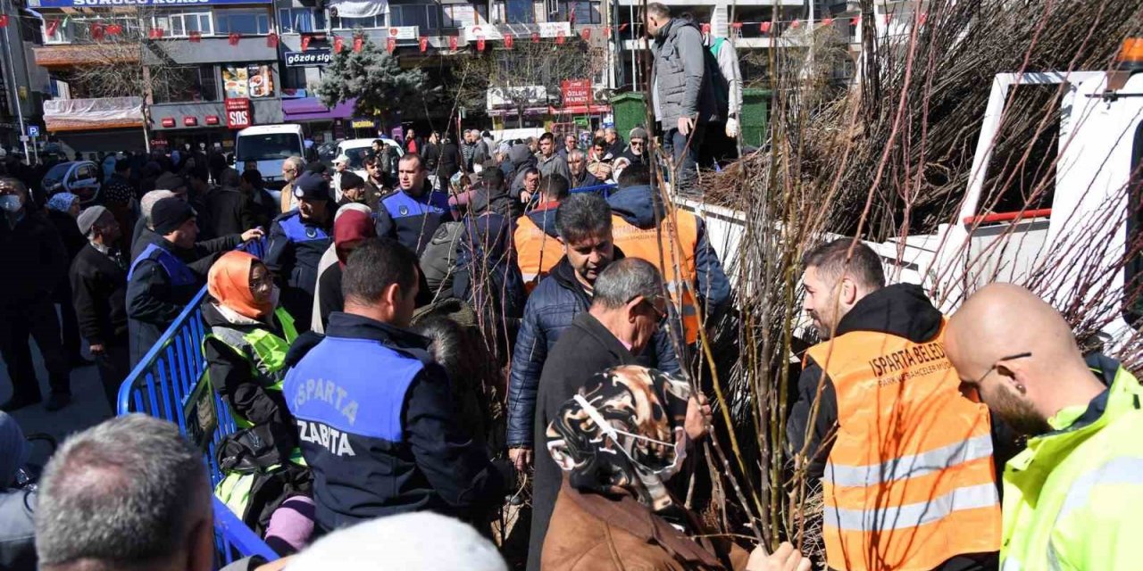 Isparta Belediyesi cuma günü 10 bin adet armut fidanını ücretsiz dağıtacak