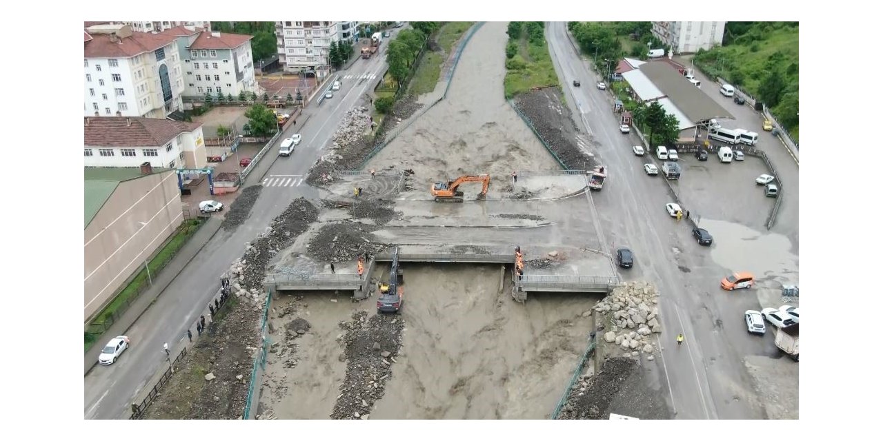 Sel felaketleri sadece insanları değil, balık popülasyonunu da etkiliyor