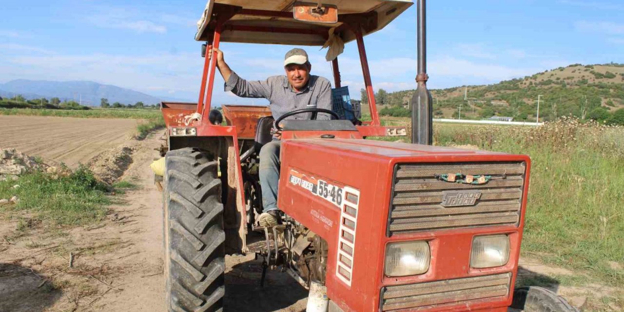 Pamuk ekimleri yağmur engeline takıldı