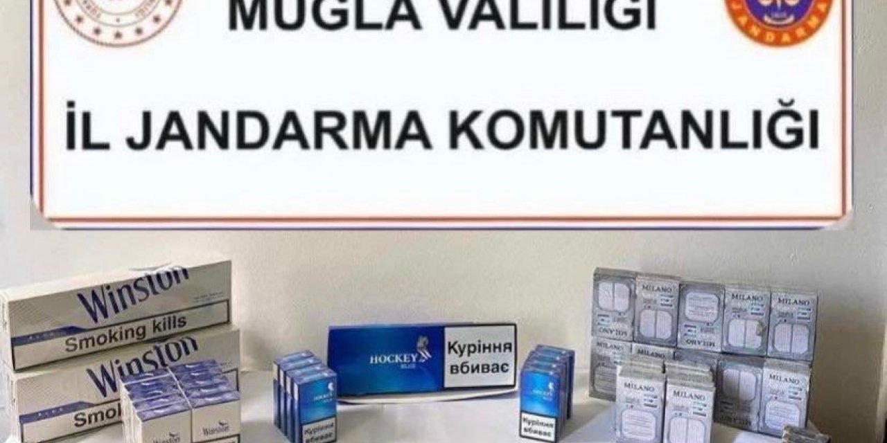 Muğla’da kaçak sigara operasyonu