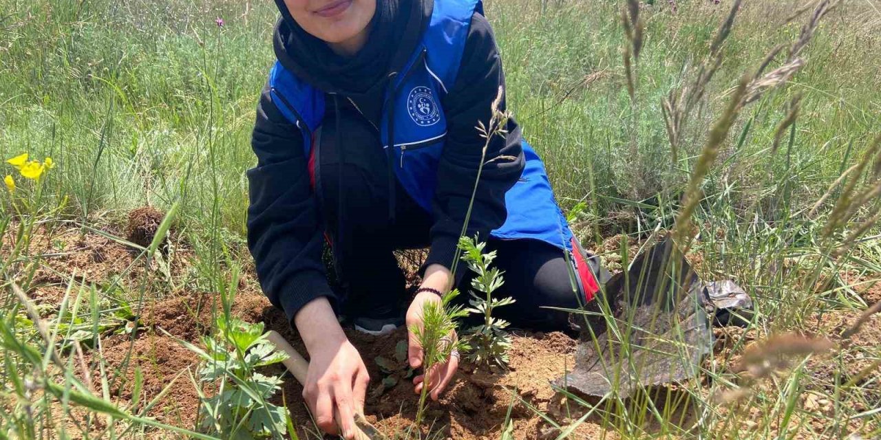 Gönüllü gençler fidanları toprakla buluşturdu, çevredeki çöpleri topladı