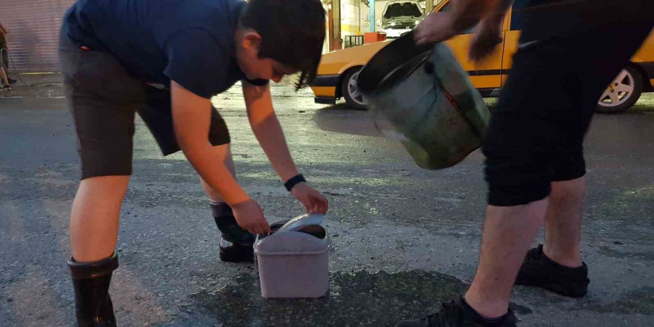 Samsun’da selden etkilenen balıklar ırmağa bırakıldı