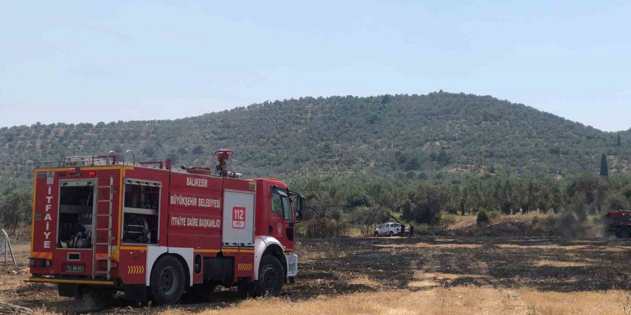 Burhaniye’de otluk alanda yangın