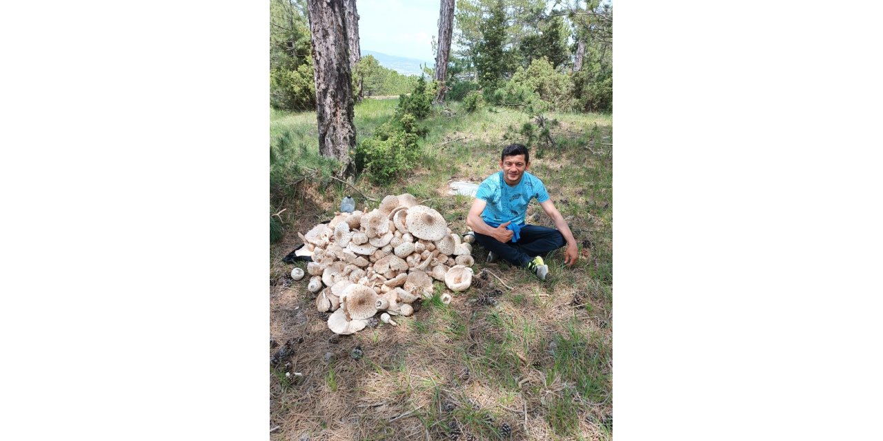 Kütahya’da yağışlar mantara bereket, sofralara lezzet getirdi