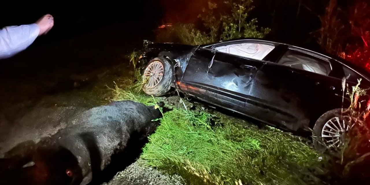 Büyükbaş hayvana çarpıp, şarampole giren araçta AK Parti milletvekili ve oğlu yaralandı