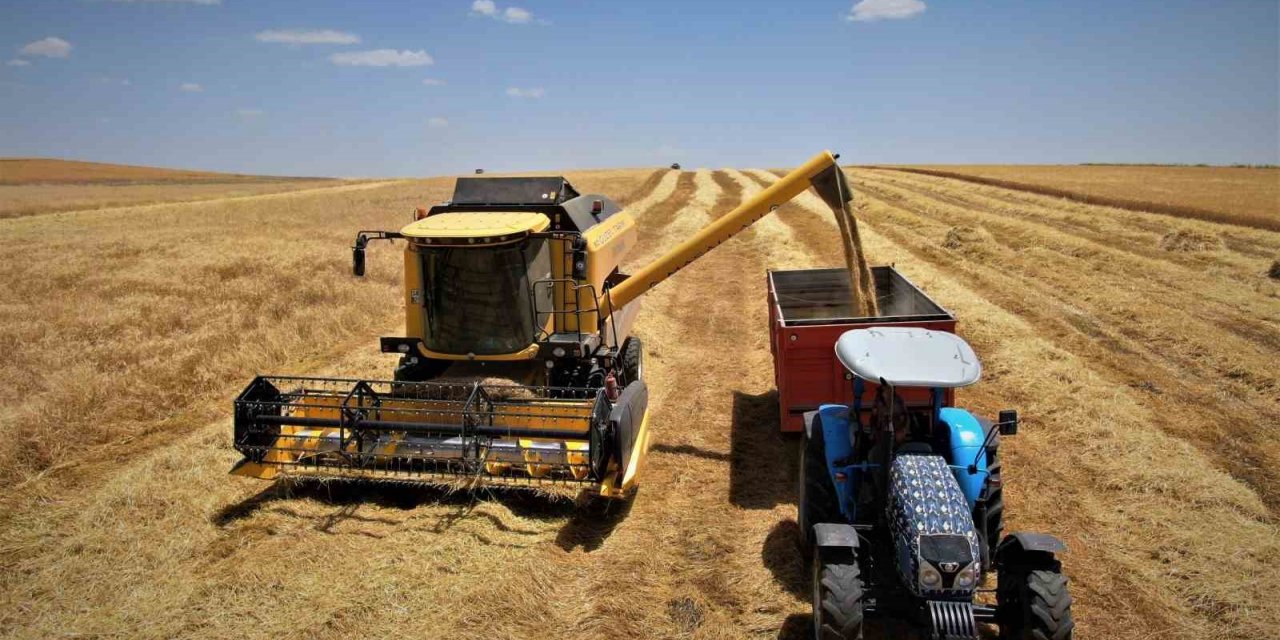 Diyarbakır hububatında tarihi rekolte: Çiftçinin yüzü güldü