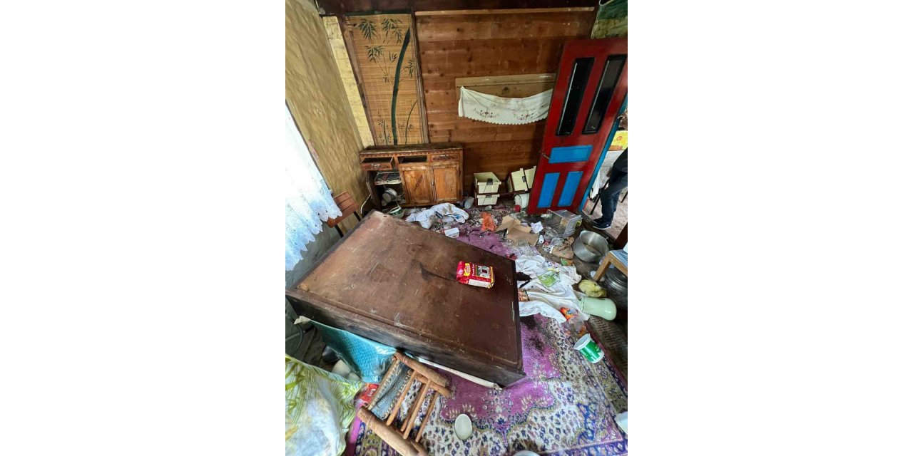 Artvin’de aç kalan ayı girdiği evin altını üstüne getirdi