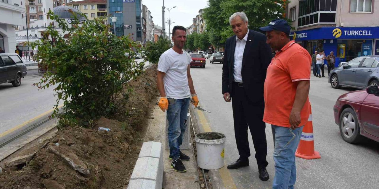 Başkan Bakkalcıoğlu çalışmaları inceledi