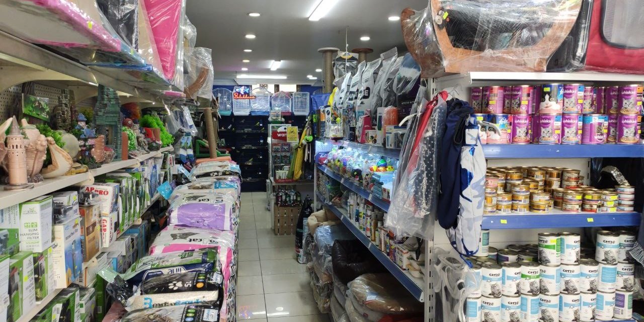 Sultangazi’de hırsızlar petshoptan çaldıkları kuşları montun cebine sakladı: O anlar kamerada