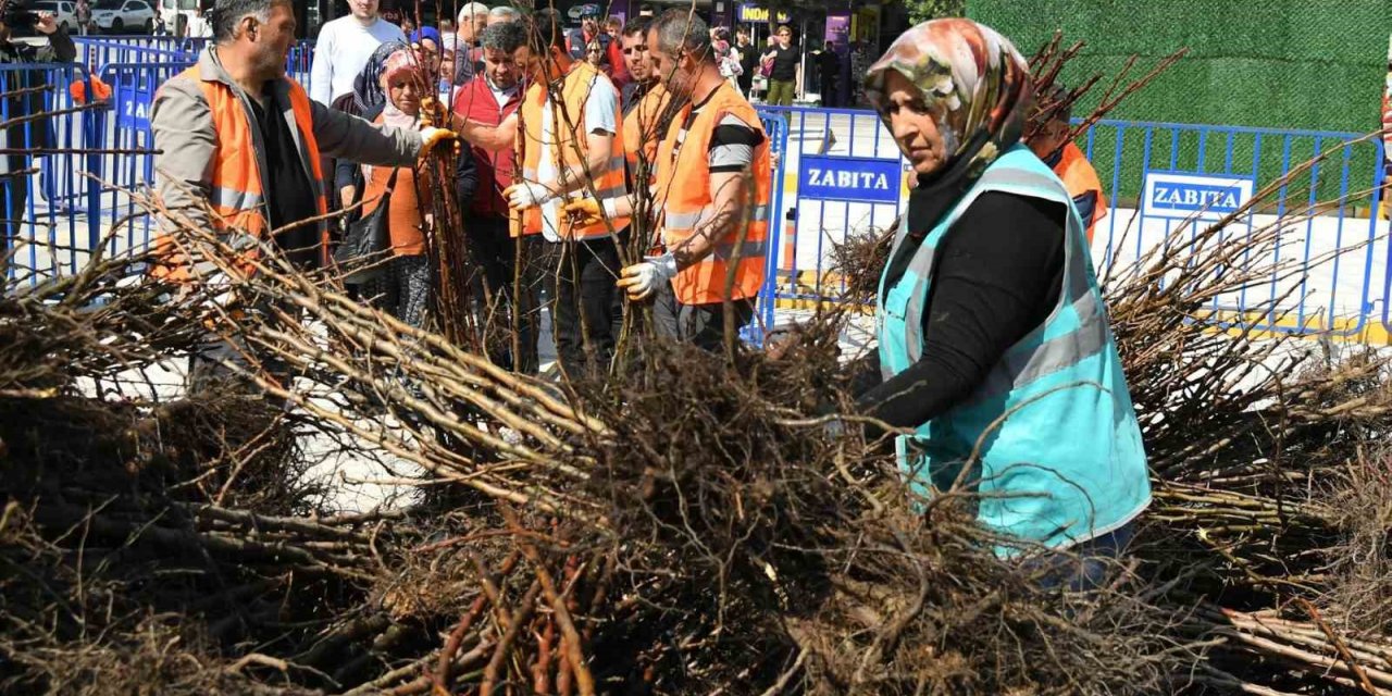 Isparta Belediyesinin dağıttığı fidan sayısı 72 bine ulaştı