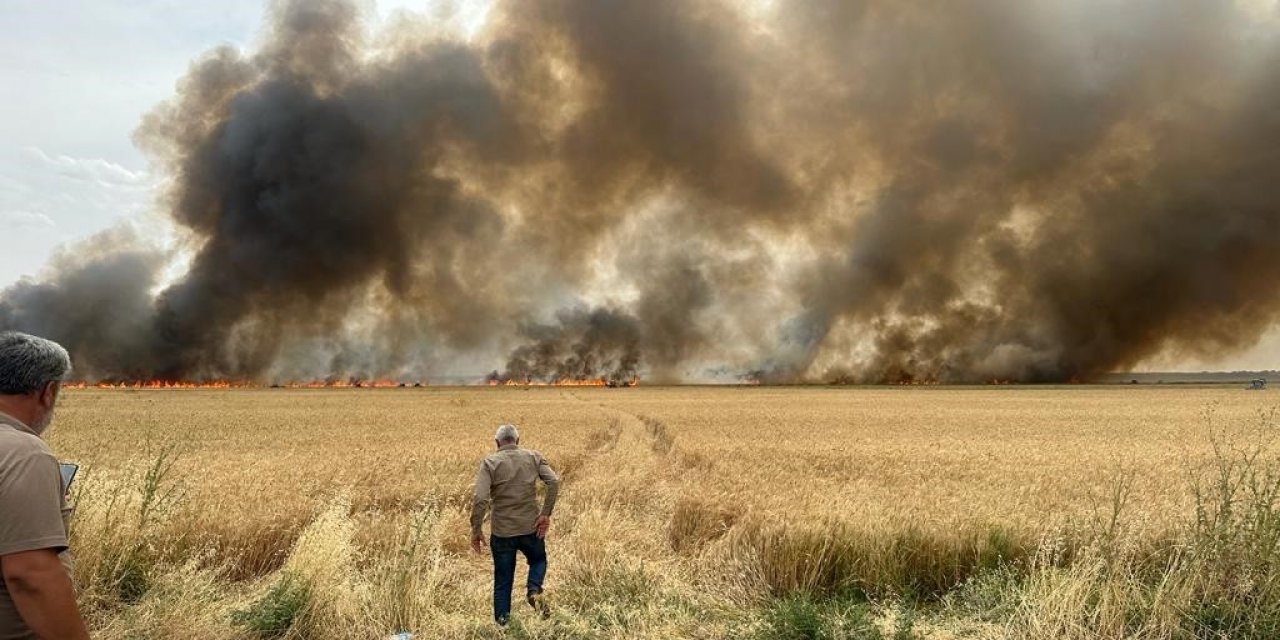 Derik’te 120 dönüm buğday tarlası küle döndü