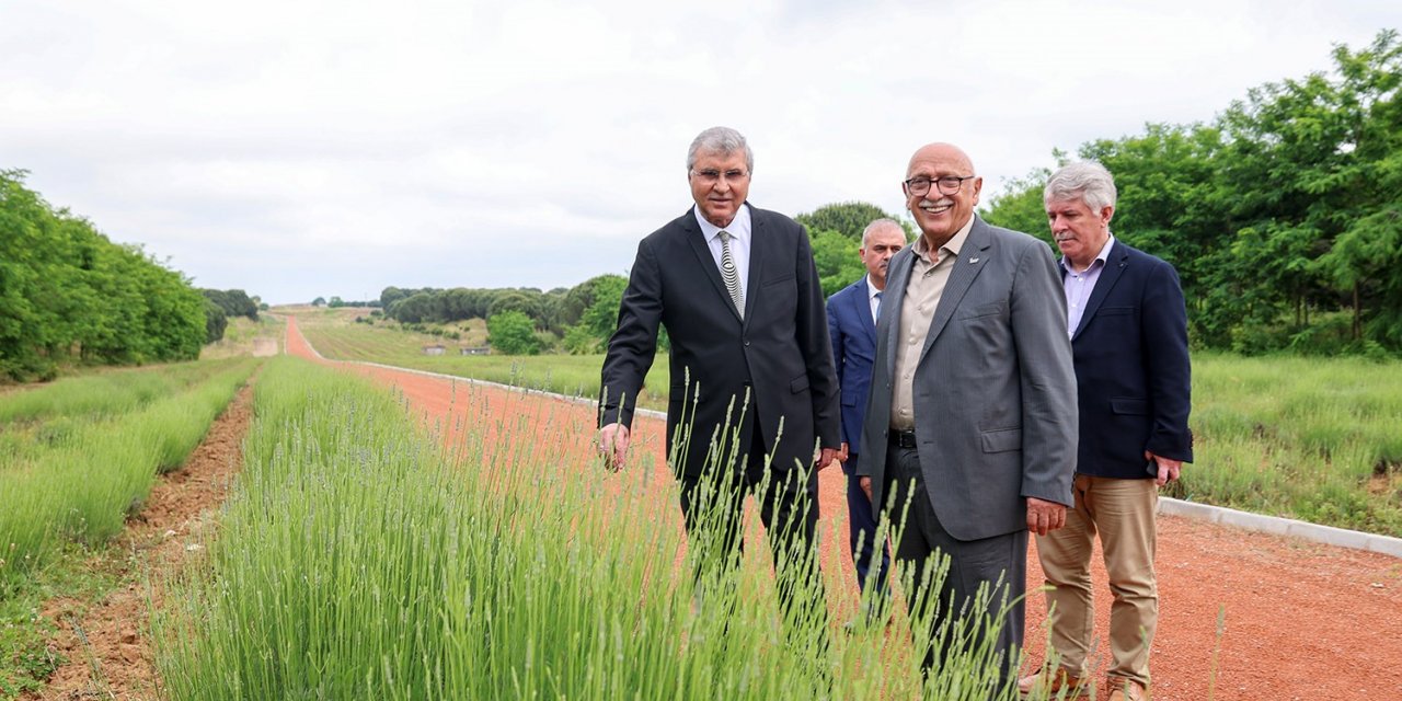 Başkan Yüce: "Botanik Park’ta hasat edilen ürünlerin önemli bir kısmı ihraç ediliyor"