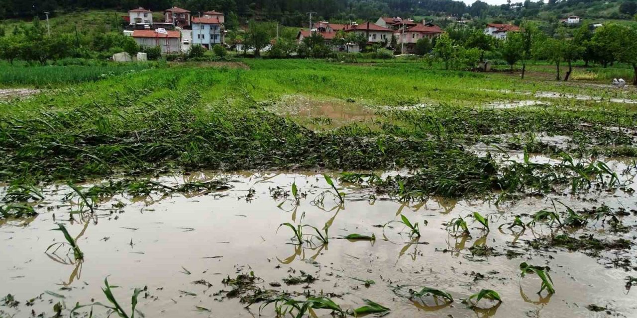 Hisarcık’ta sağanak yağış sonrası tarım arazileri sular altında kaldı