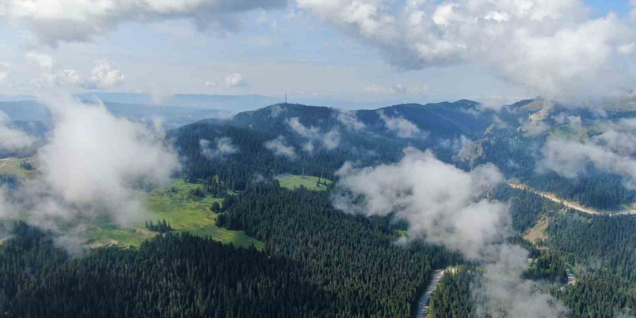 Sis bulutları ile kaplanan Ilgaz Dağı’nda mest eden görüntüler