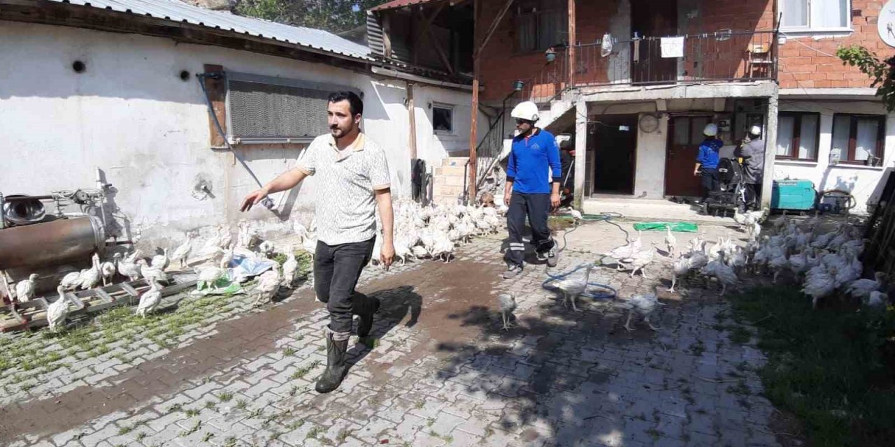 Hindi çiftliğinde yangın çıktı