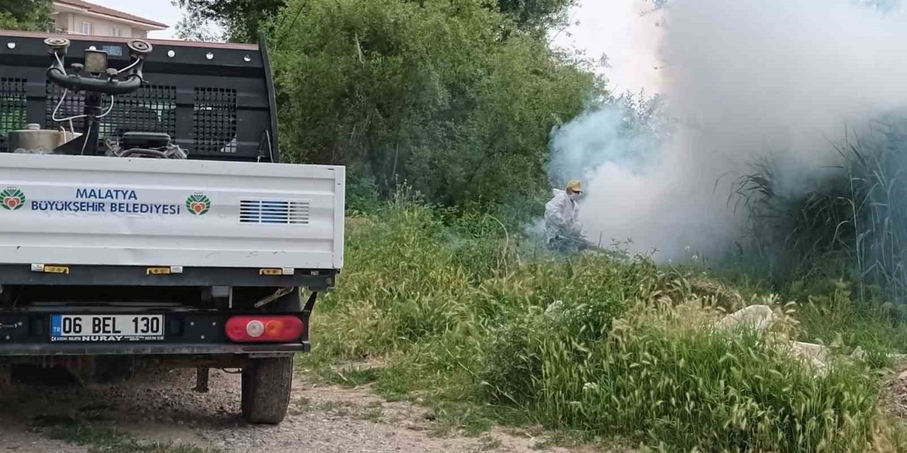 Malatya’da haşere ile mücadele çalışmaları sürüyor
