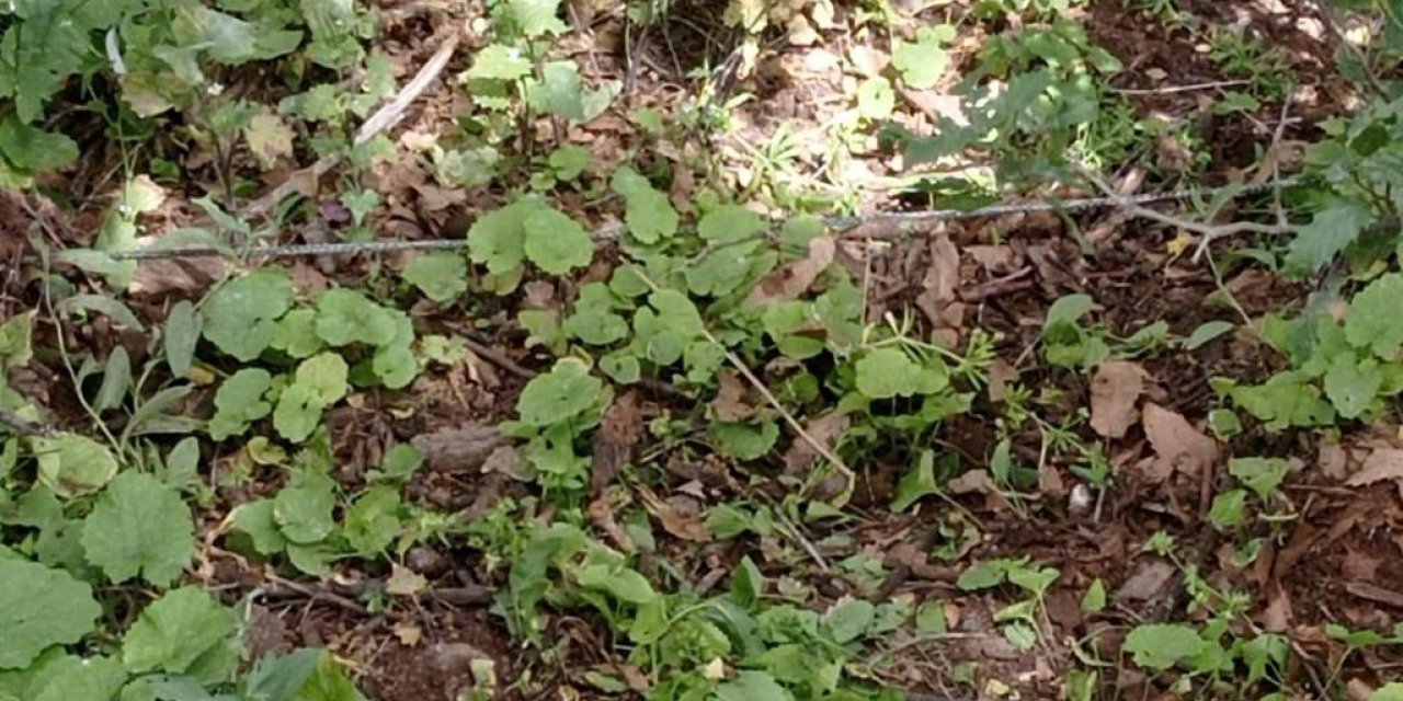 Bestler Dereler kırsalında EYP düzeneği ele geçirildi