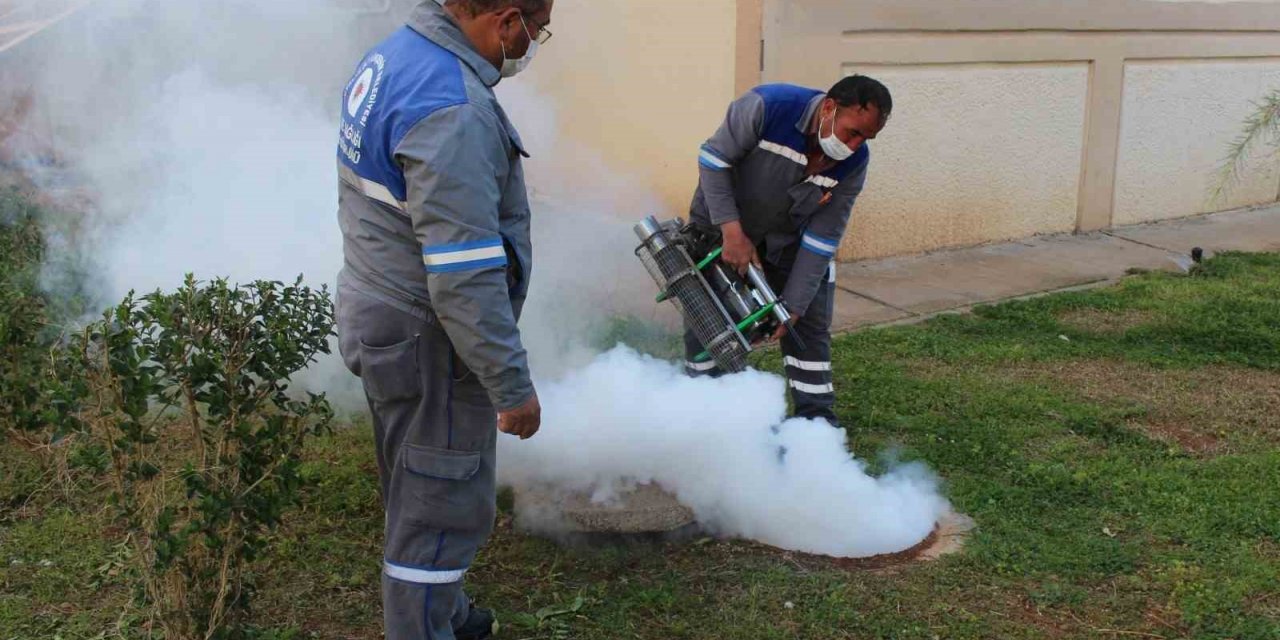 Sineksiz yaz için ilaçlama ordusu iş başında