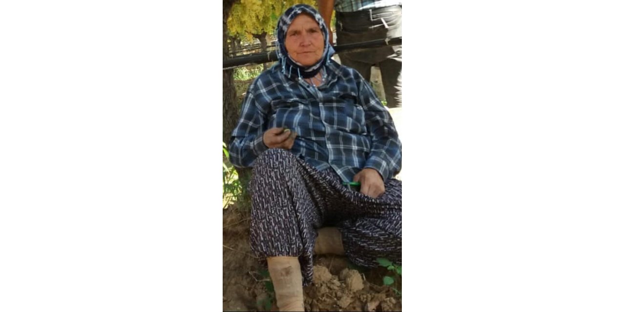 Devrilen traktörün altında kalan kadın öldü