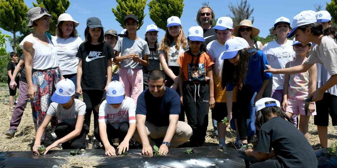 Minik eller yaz fidelerini Adabahçe’nin bereketli topraklarıyla buluşturdu