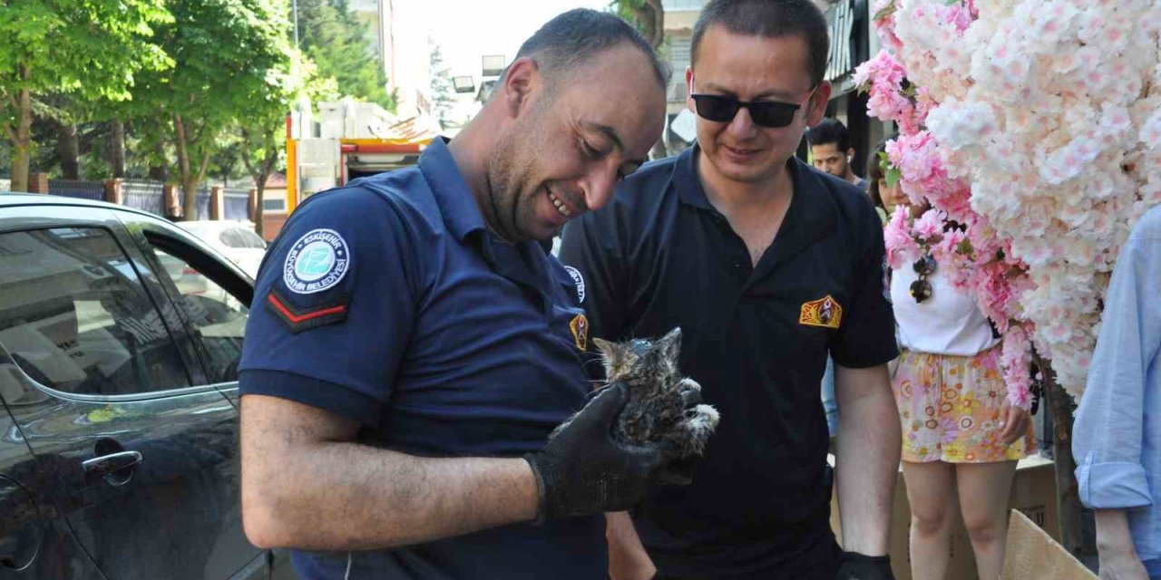 Aracın altına sıkışan yavru kedi itfaiye ekiplerince kurtarıldı