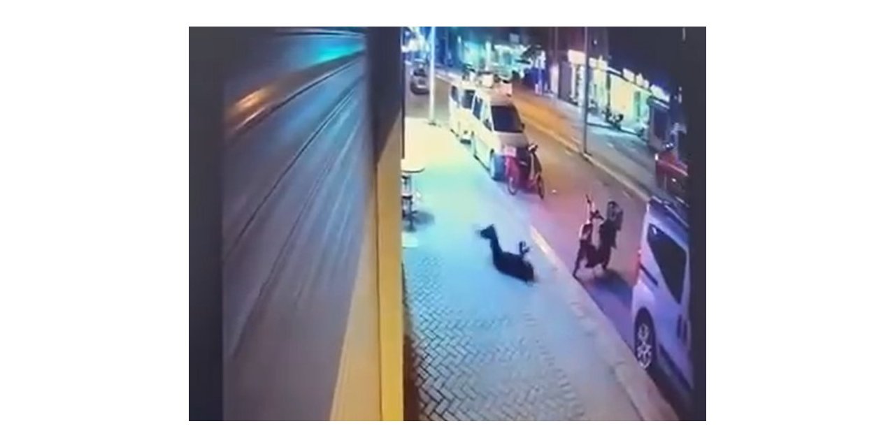 Zerin Kılınç’ın ölümüyle ilgili Şule Çet davasında görev alan uzmanlar inceleme yapacak