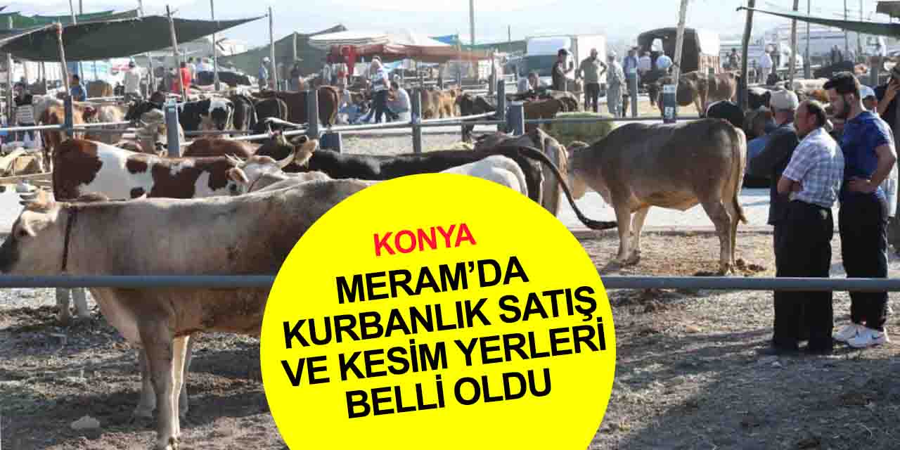 Konya Meram’da 2023 kurbanlık satış ve kesim yerleri açıklandı! Tahsis işlemleri yarın başlıyor