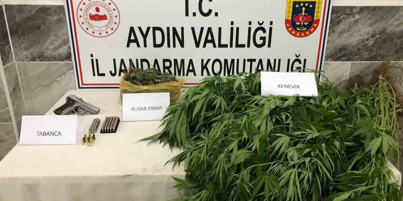 Jandarmadan uyuşturucu operasyonu: 1 gözaltı