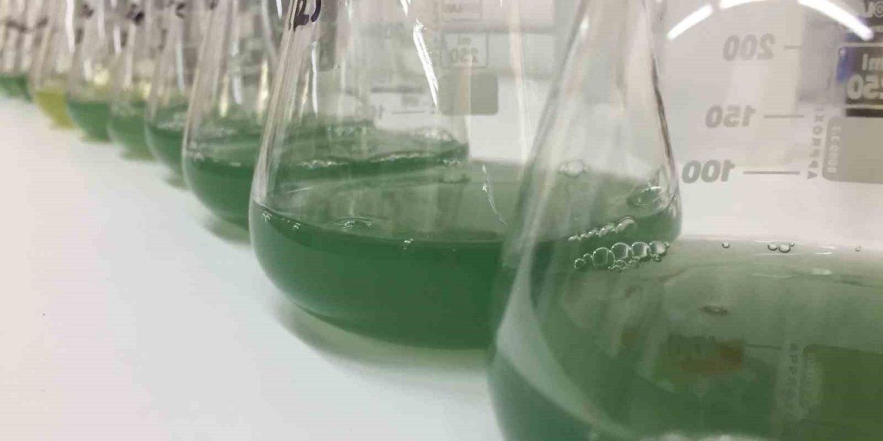 BTÜ’lü araştırmacılar o hastalığa çare oluyor